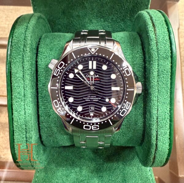 Omega Seamaster Black